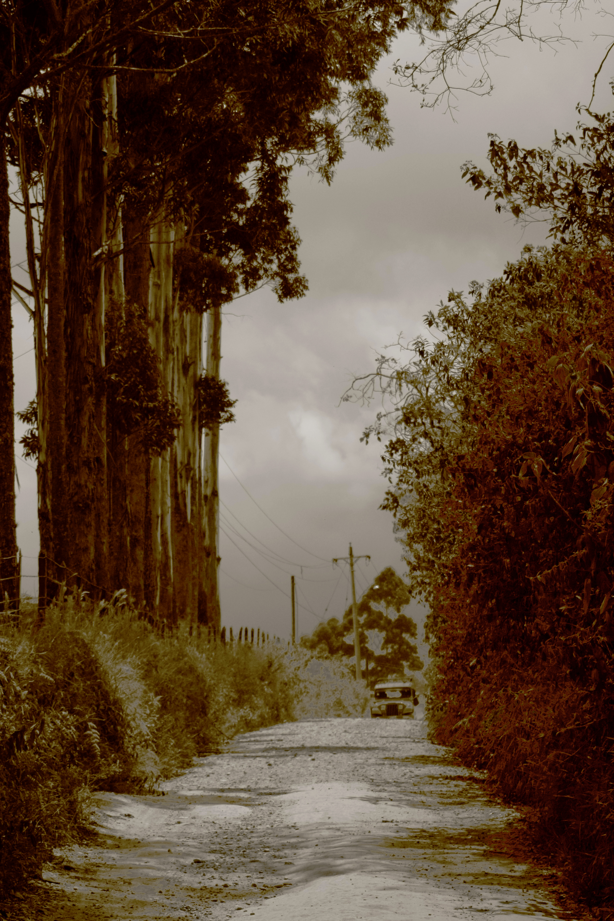 El camino Salento, Quindío, Colombia