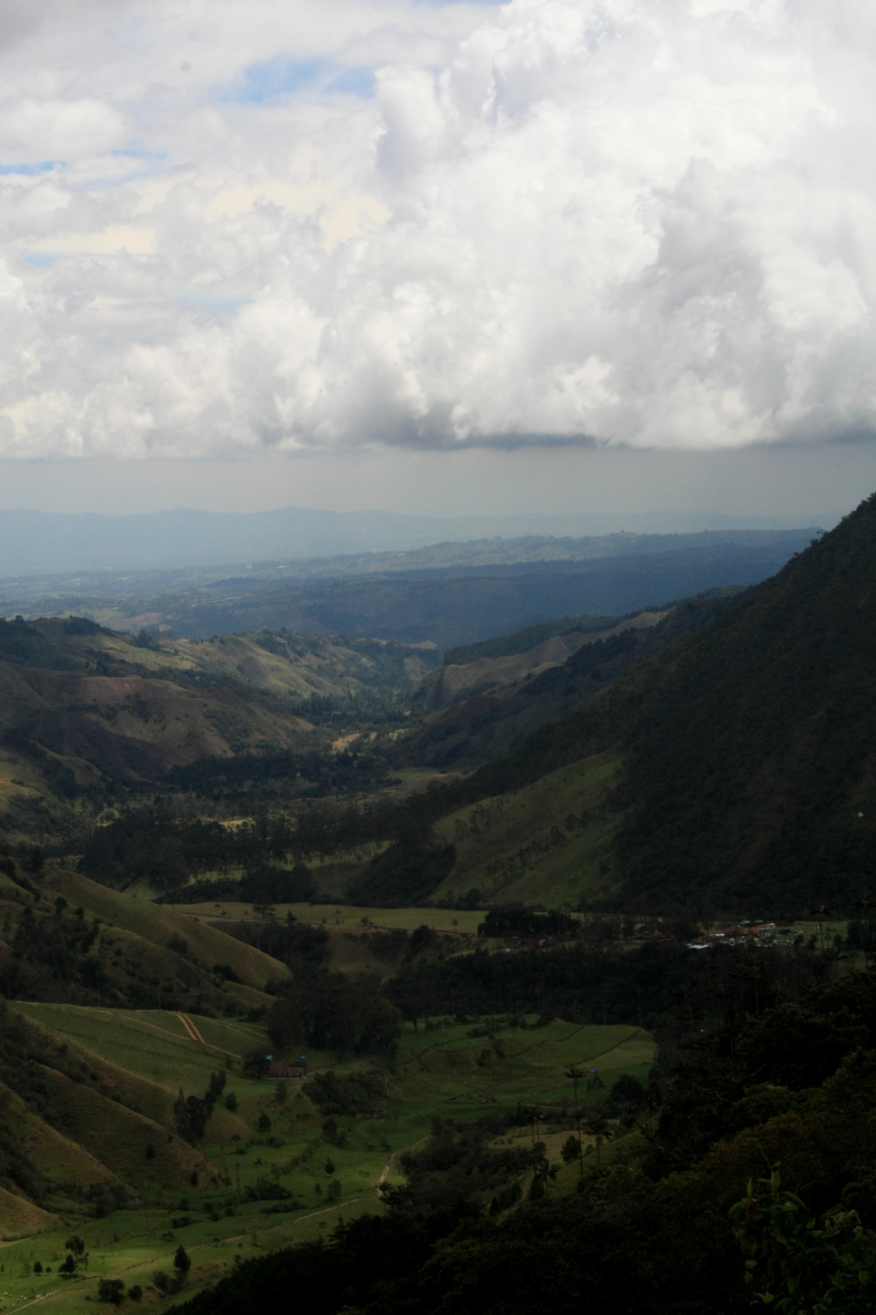 Vista al valle Parque del Cocora, Salento, Quindío, Colombia