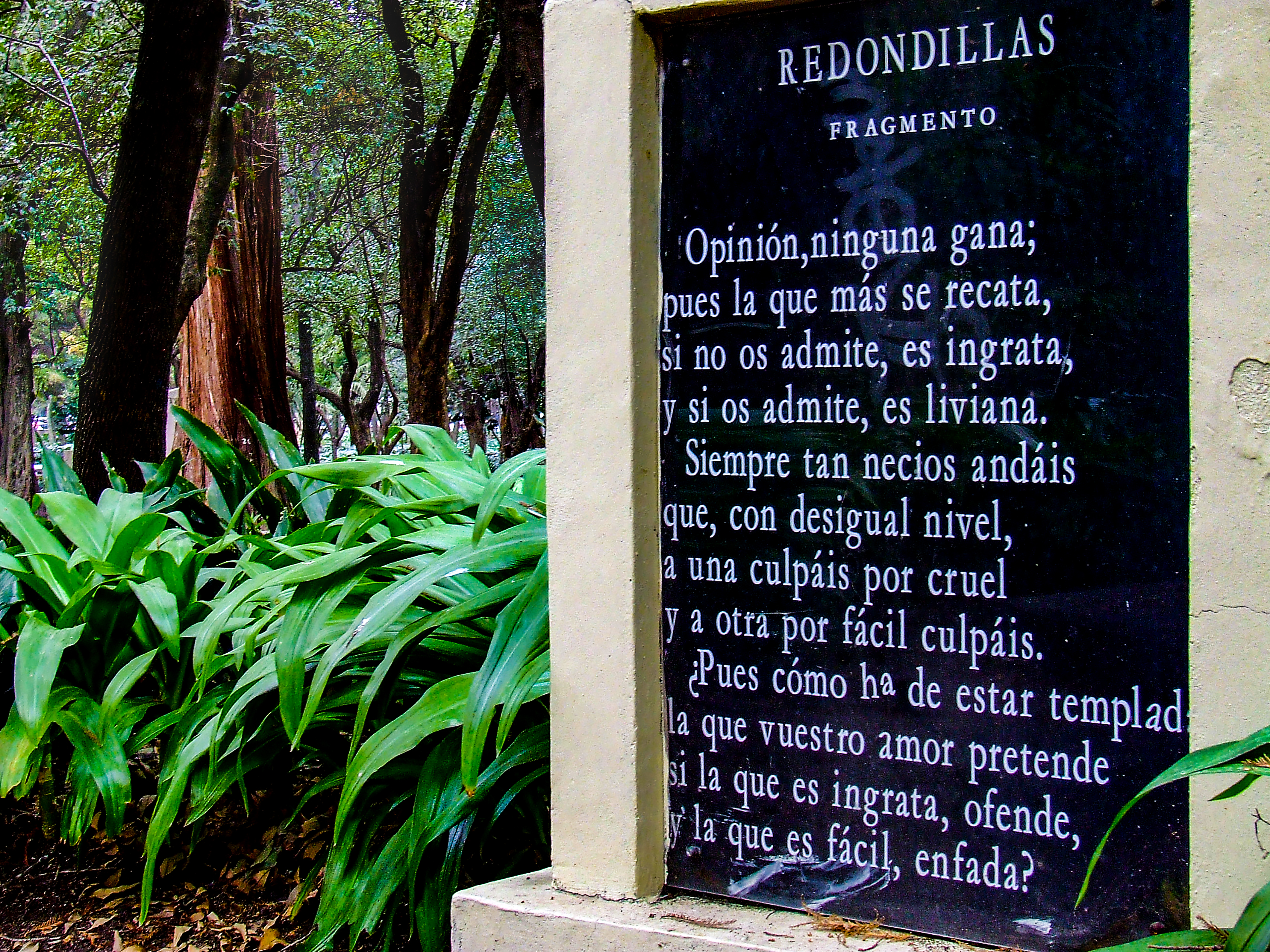 Redondillas Bosque de Chapultepec, Ciudad de México, México