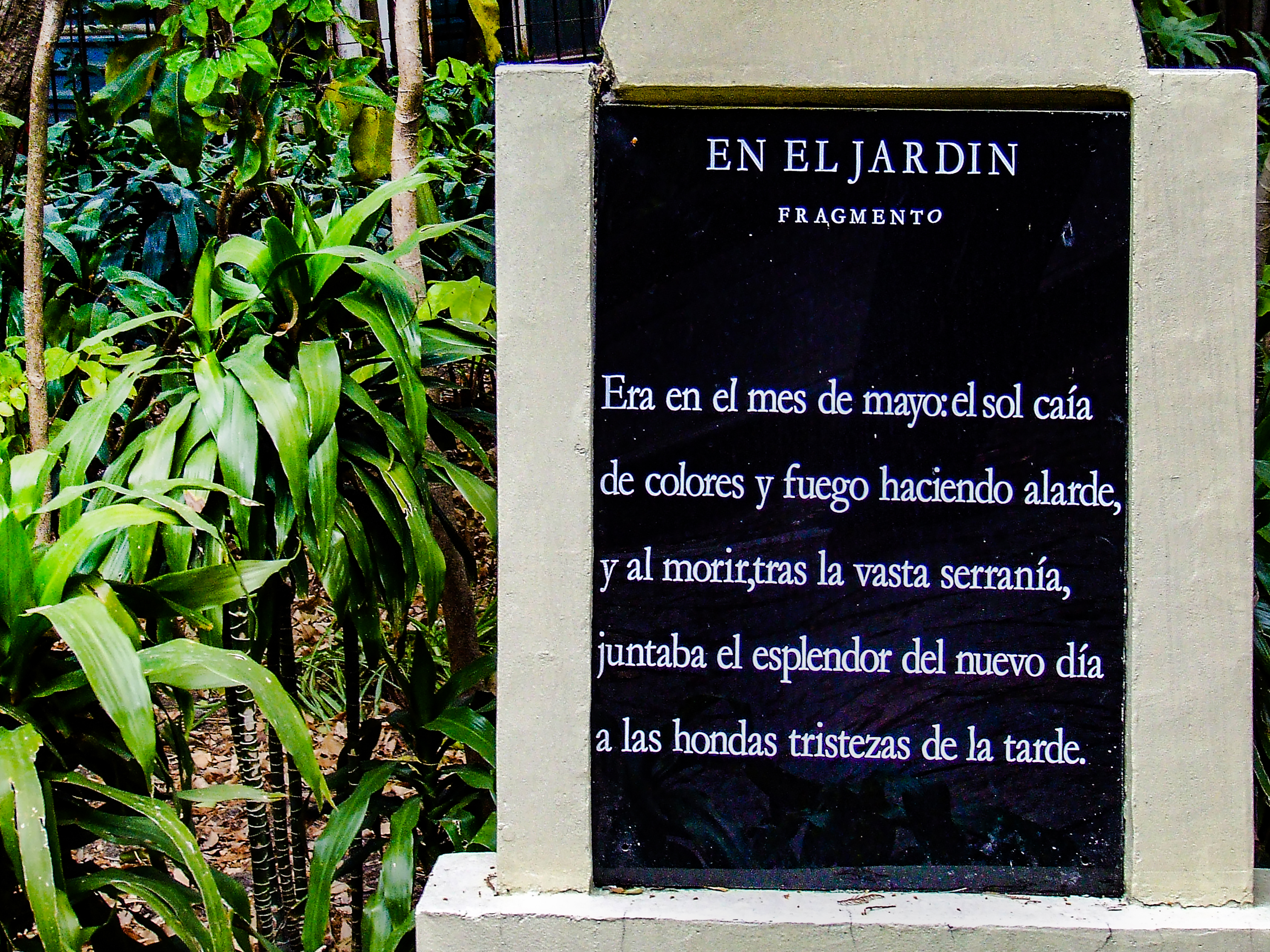 En el jardín Bosque de Chapultepec, ciudad de México, México