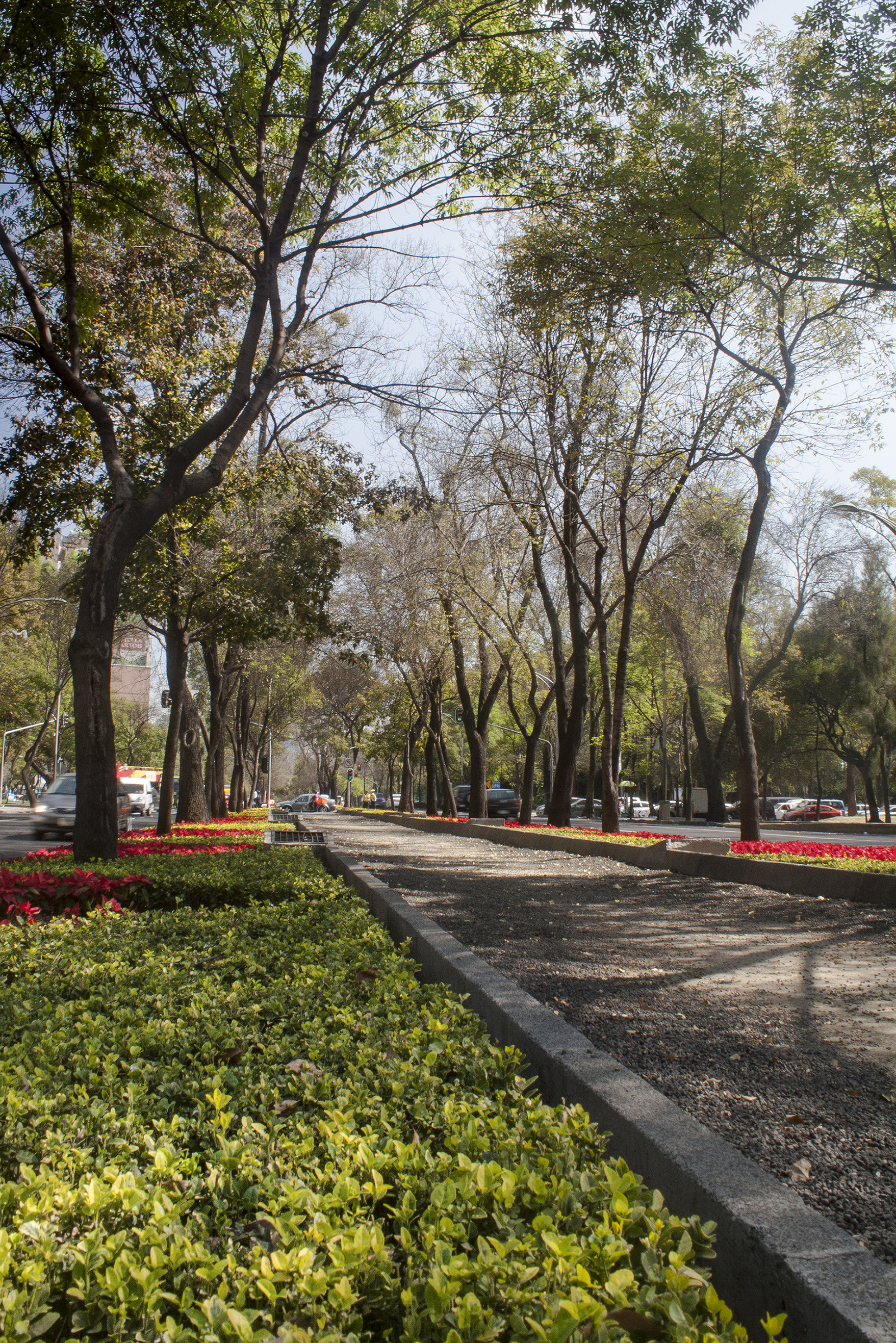 Paseo de la Reforma Cdmex, Mexico