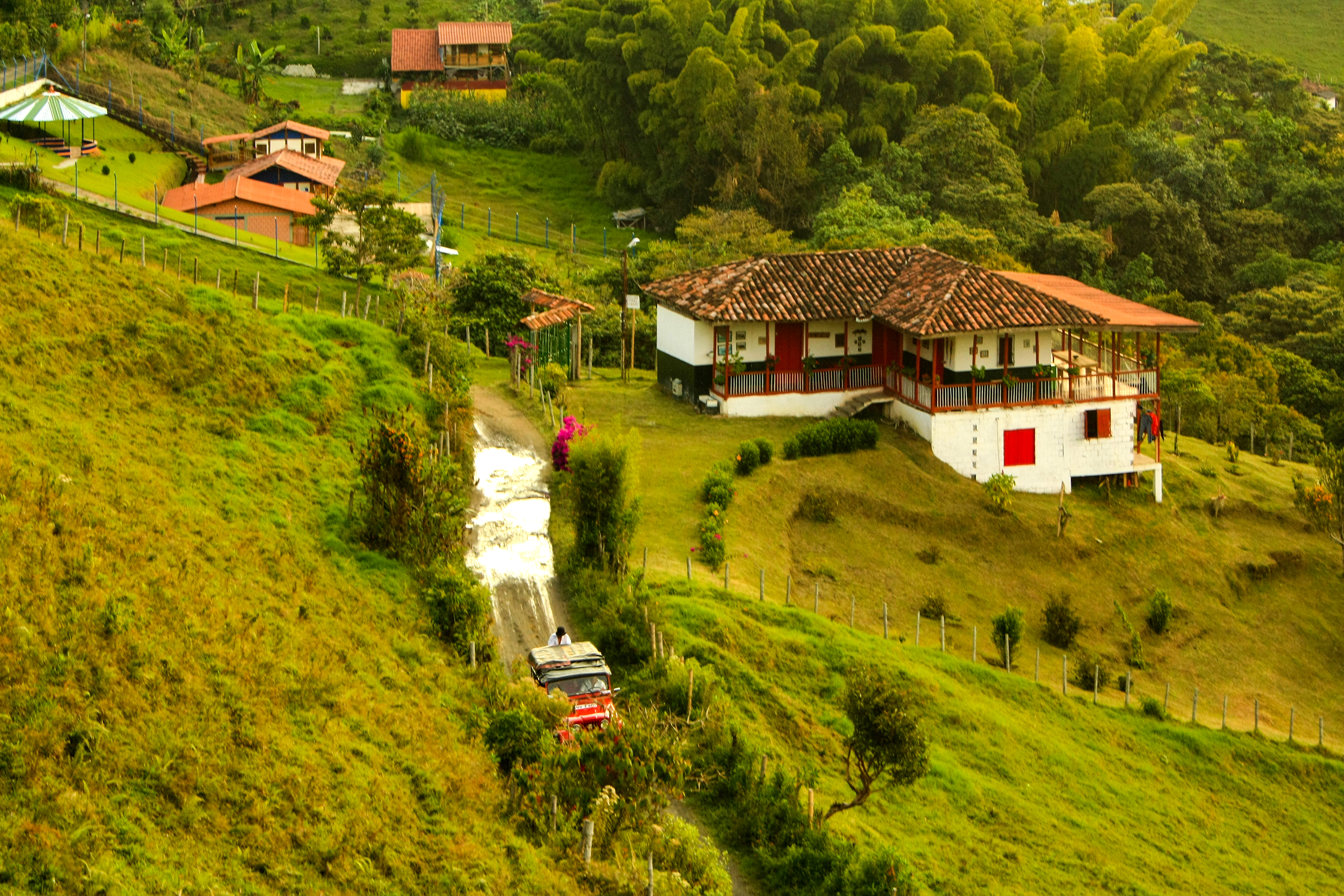 Paisajes de guada y café Pueblo Bonito, Caldas, Colombia