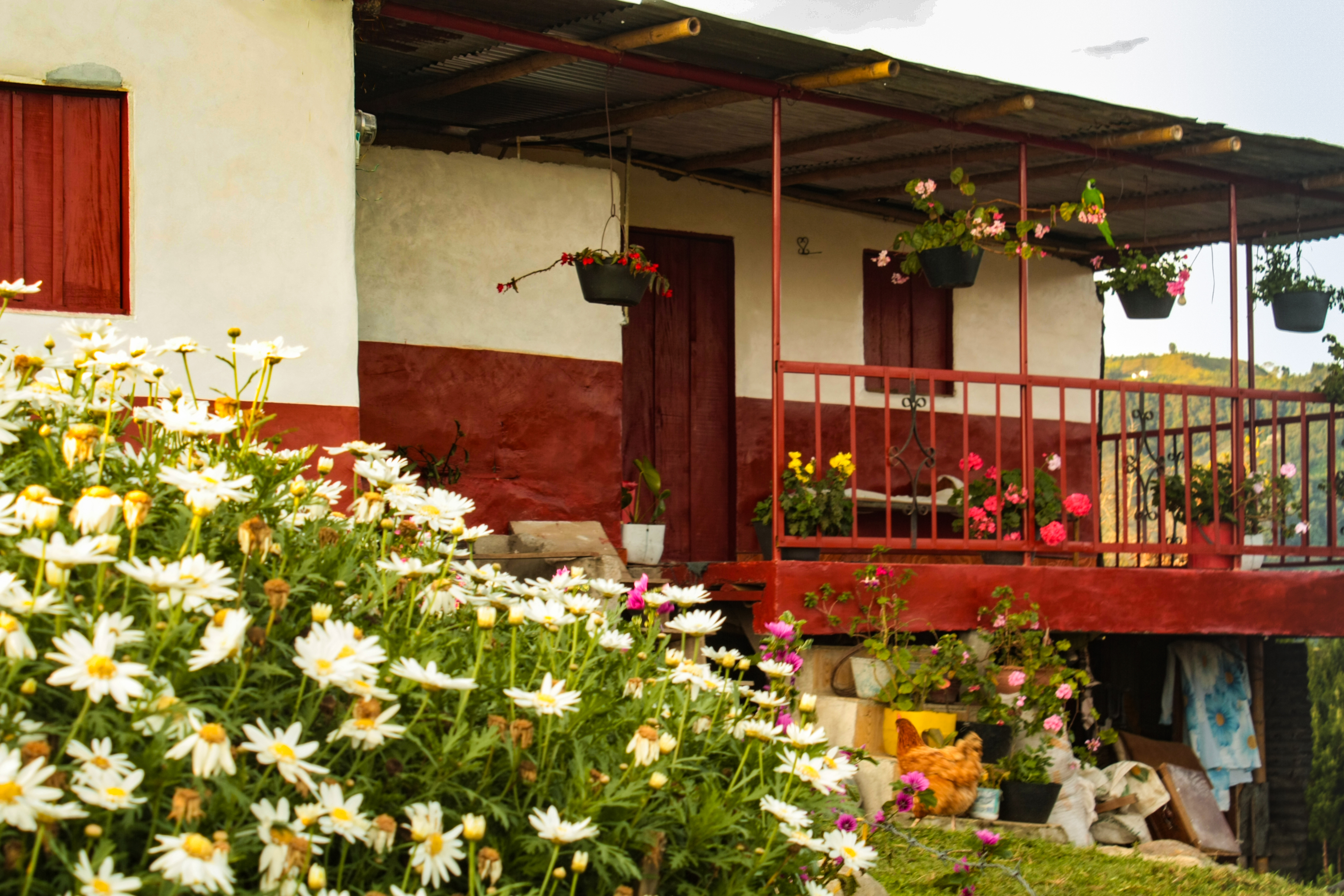 El frente de la casa Pueblo Bonito, Caldas, Colombia