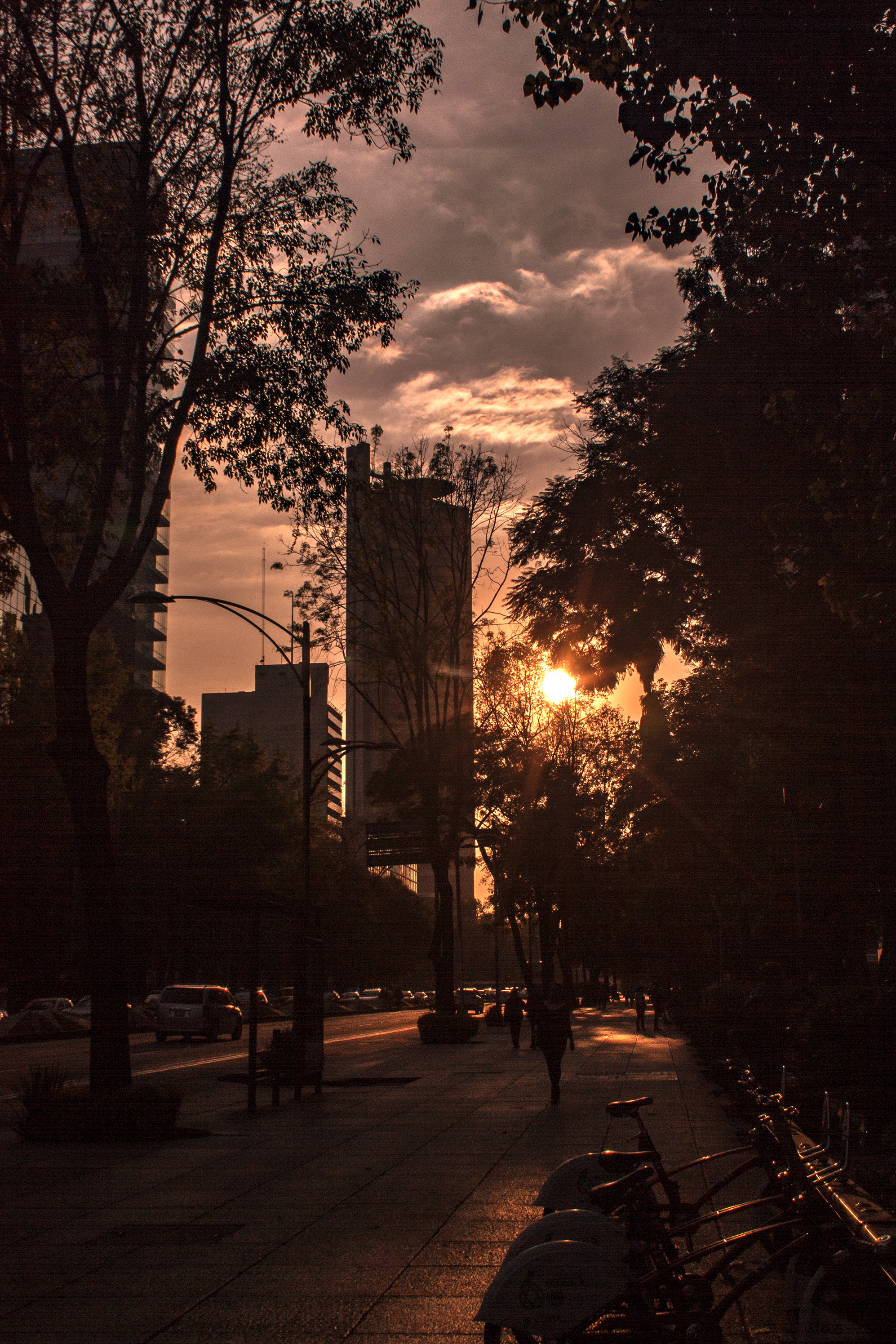 Crepúsculo Ciudad de México, CDMX, México