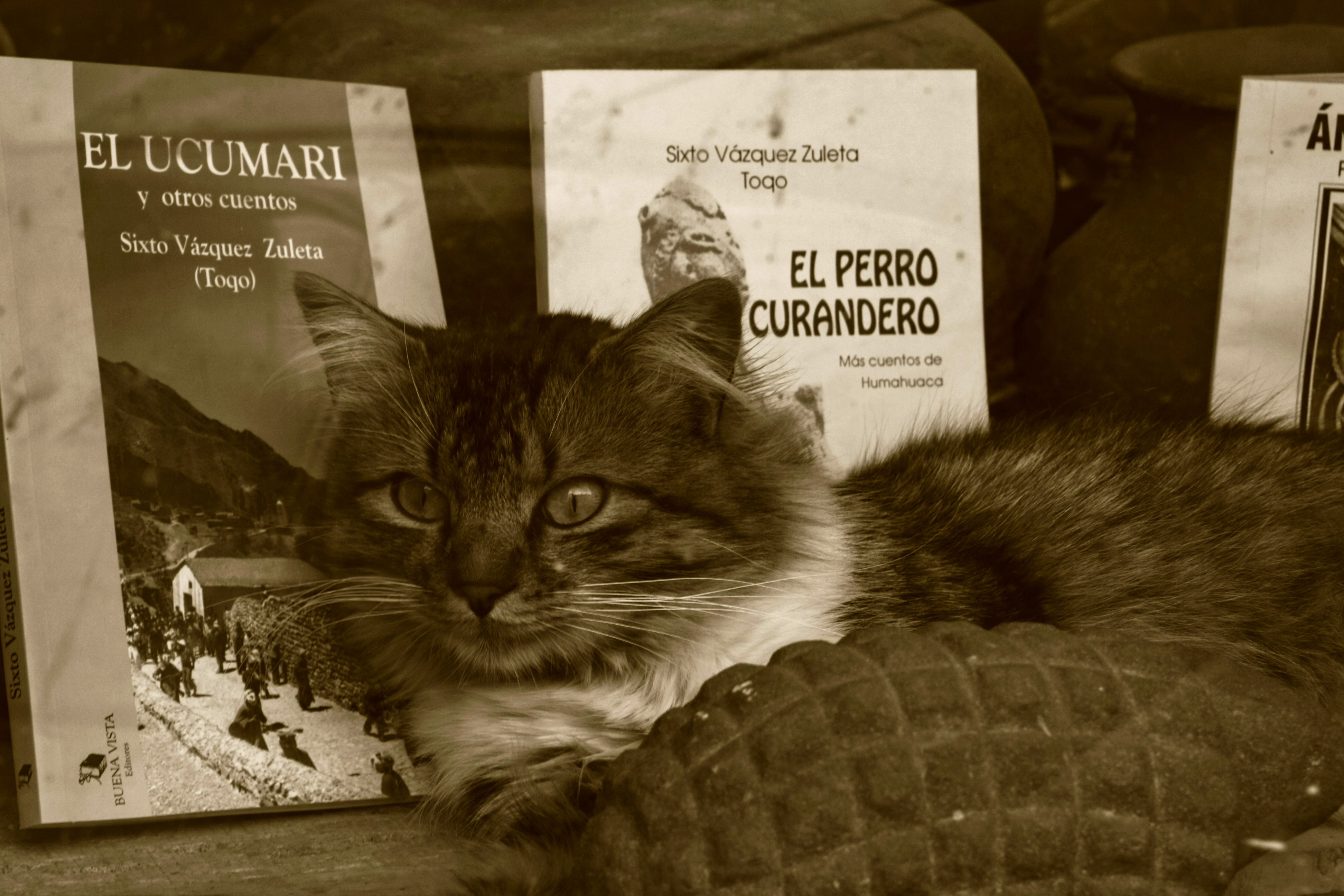 Entre libros Humahuaca, Jujuy, Argentina