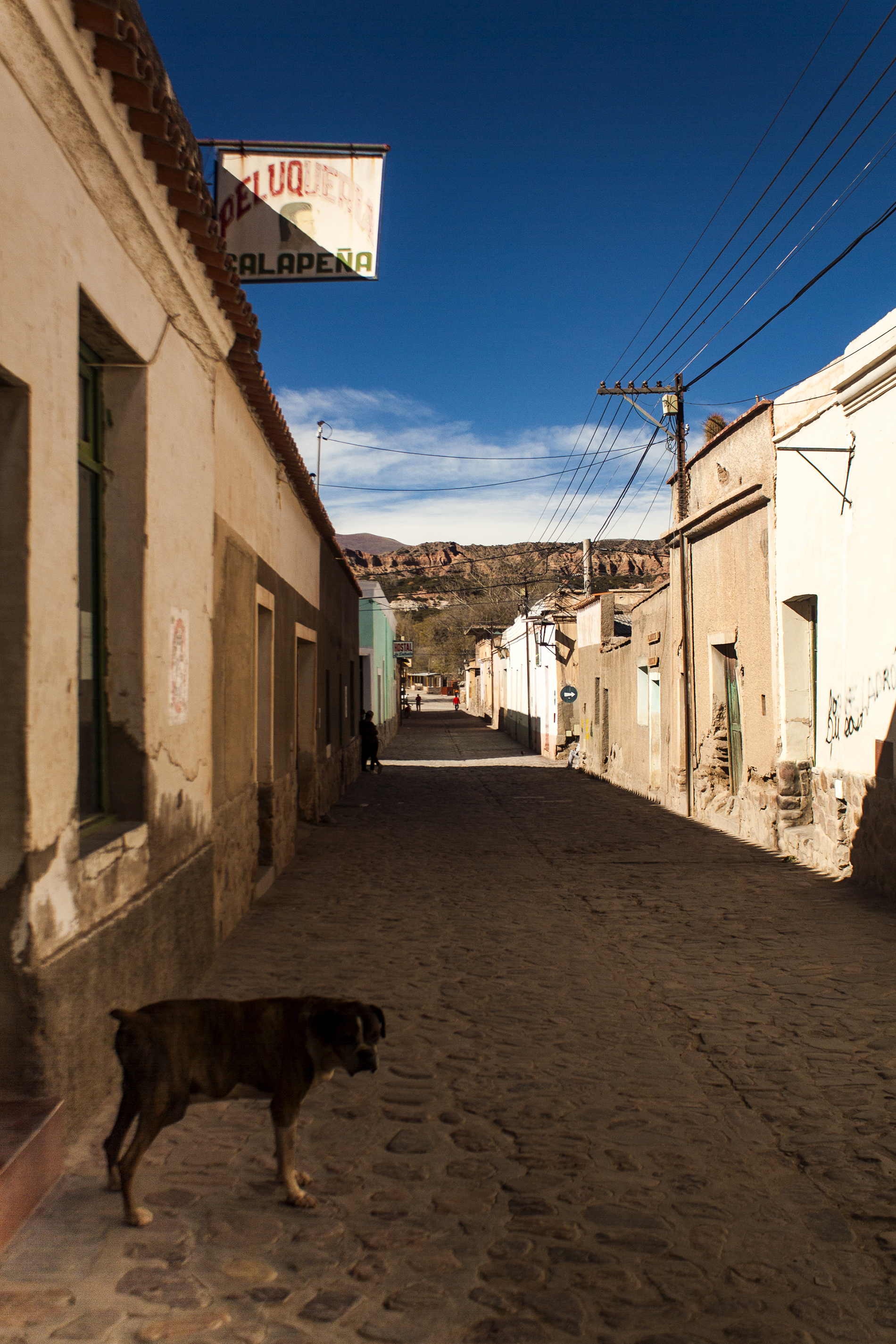 Teo en la calle Salta Humahuaca, Jujuy, Argentina