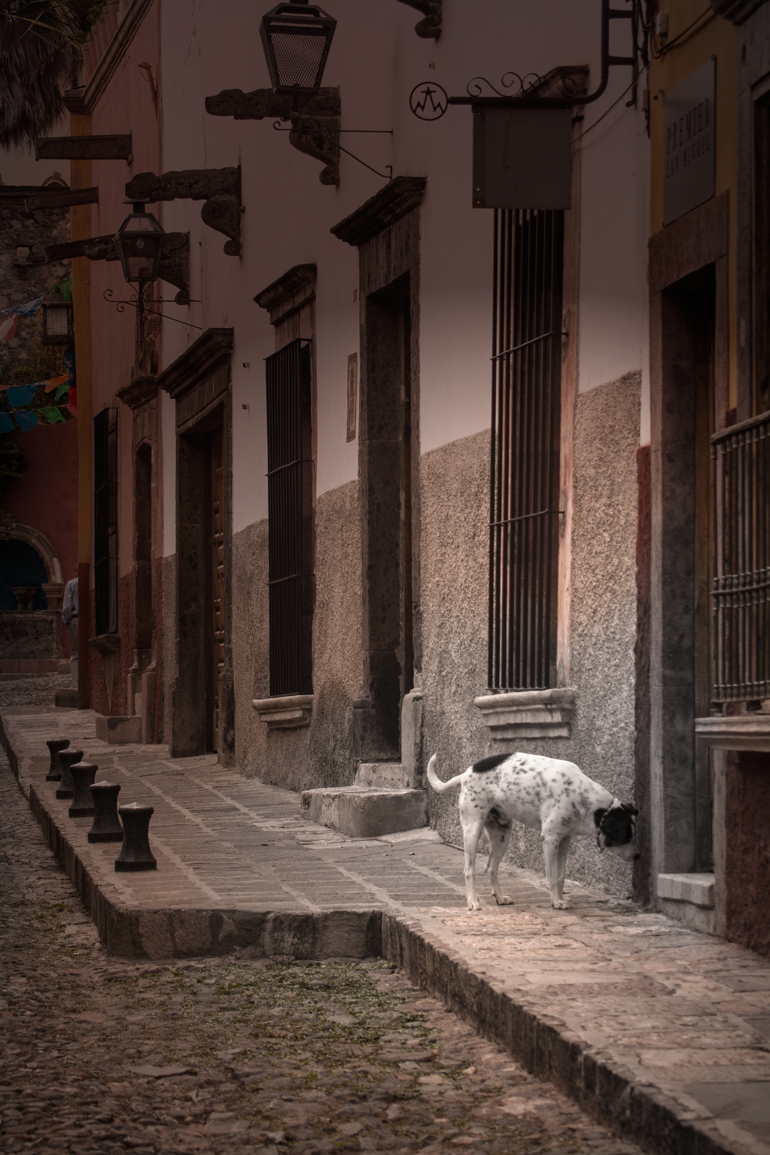 Vida callejera San Miguel de Allende, Guanajuato