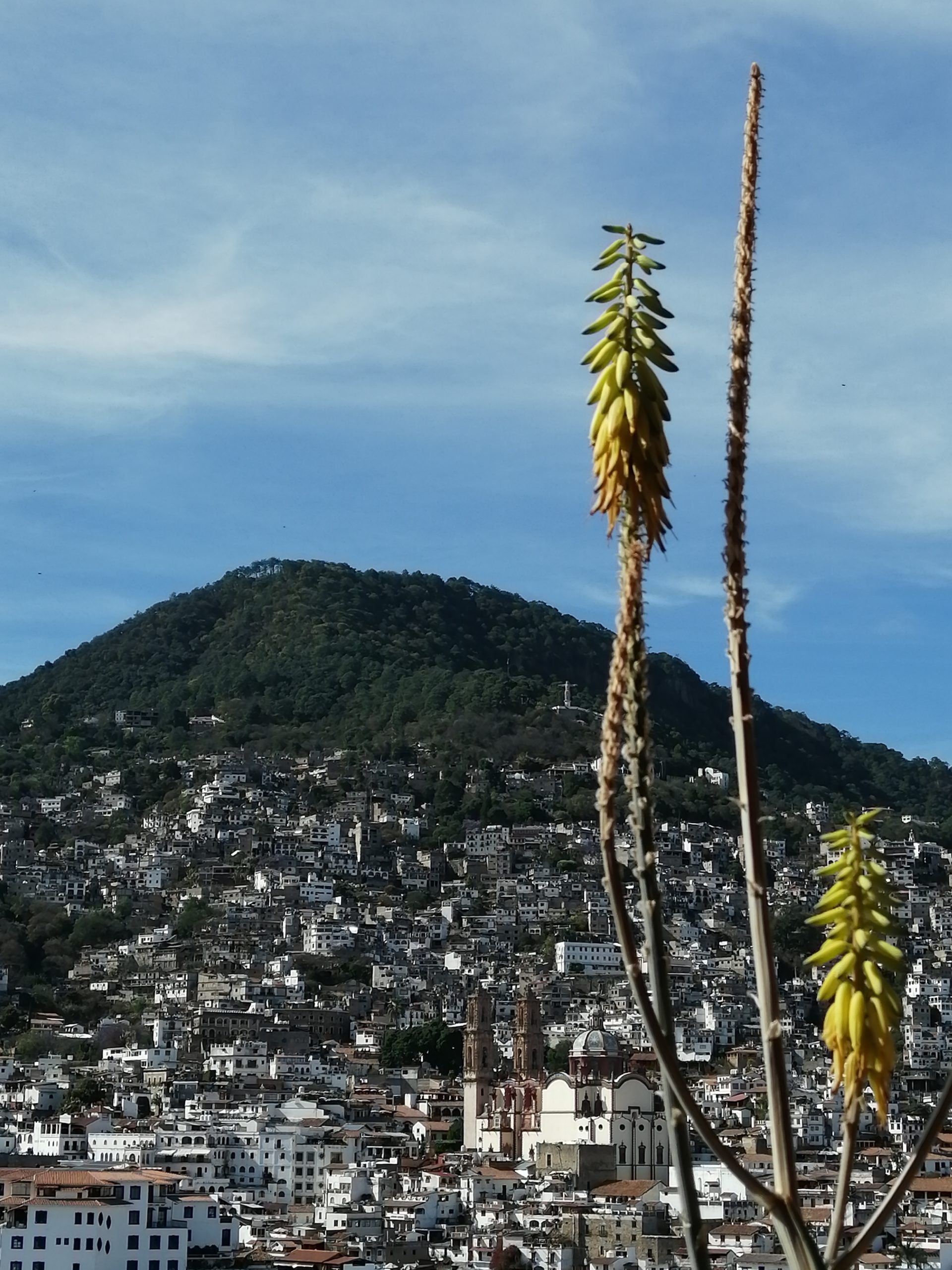 Vista de Taxco Taxco de Alarcón, Guerrero, México