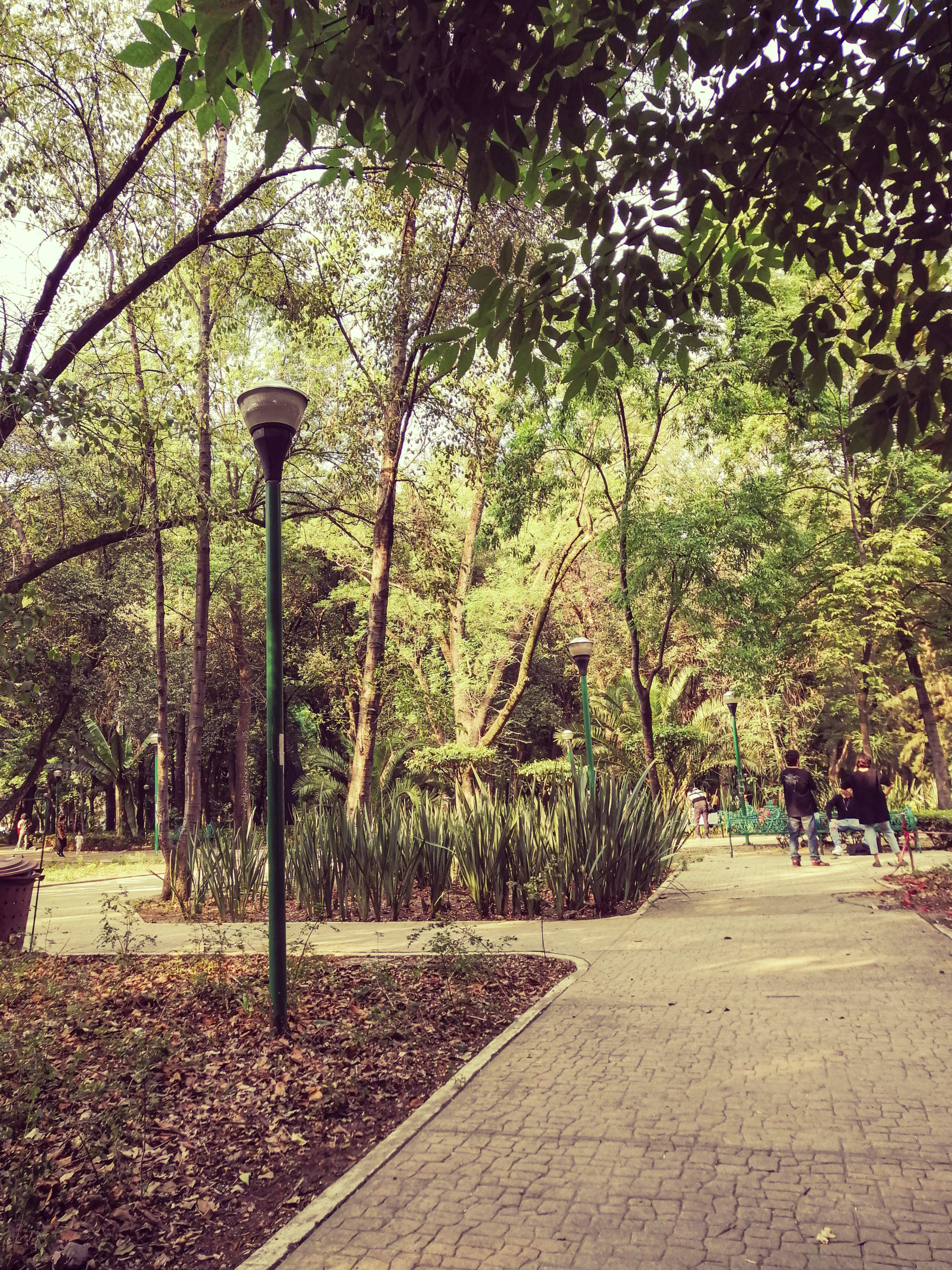 Parque México La Condesa, CDMX, México