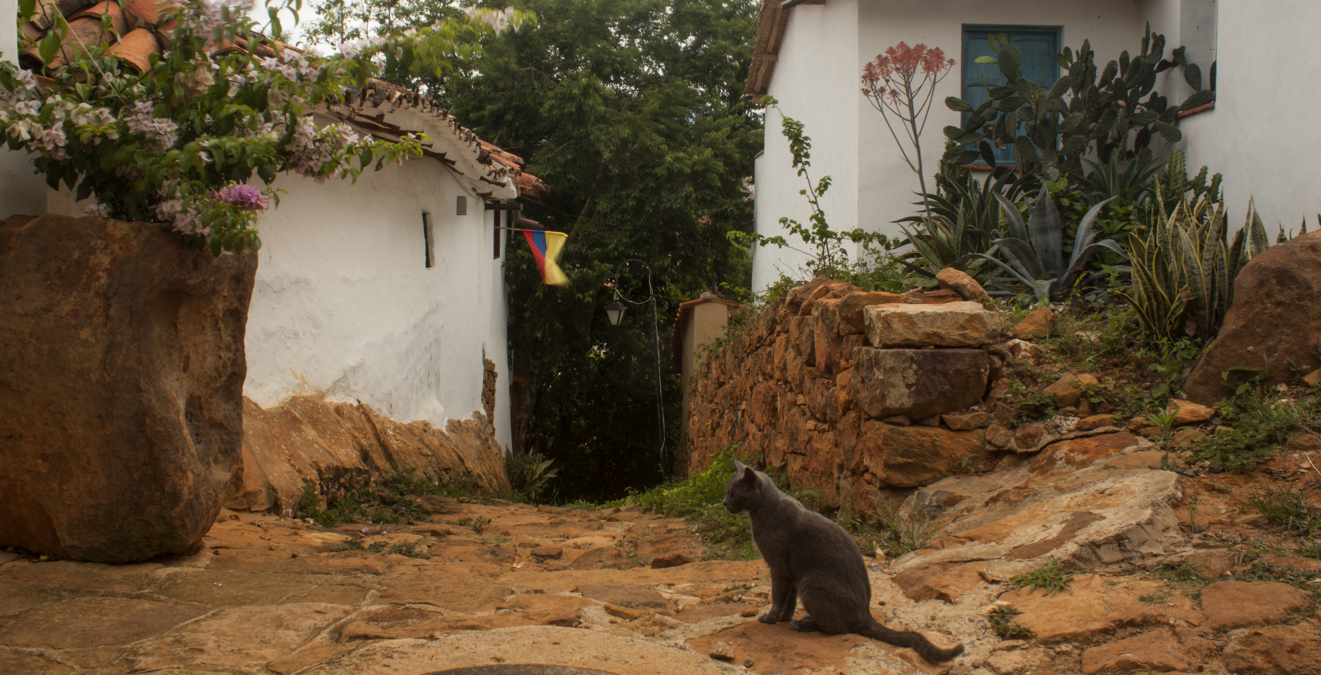 Meditación profunda sobre la vida Barichara, Santander, Colombia